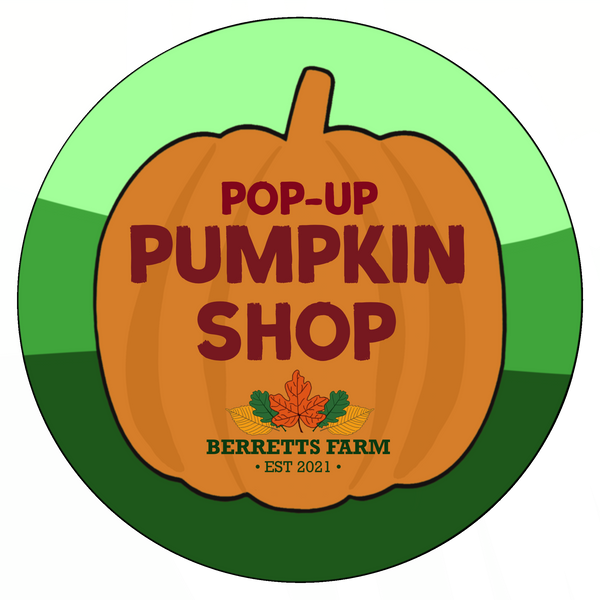 Pop-Up Pumpkin Shop